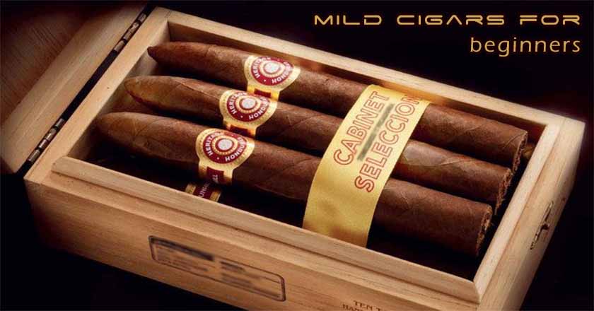 Starting mild - the best cigars for beginners